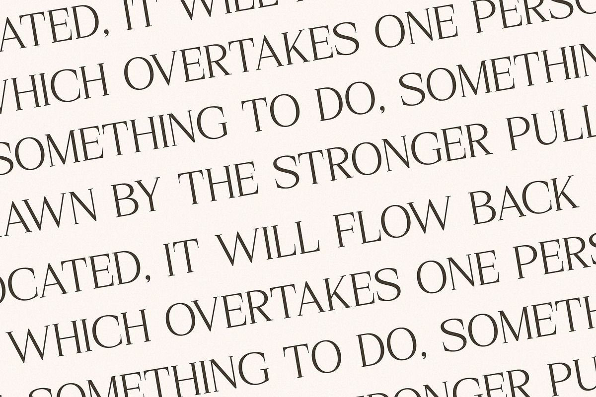 Gerislan Modern Font Serif, a Serif Font by Storytype Studio (Photo 11 of 15)