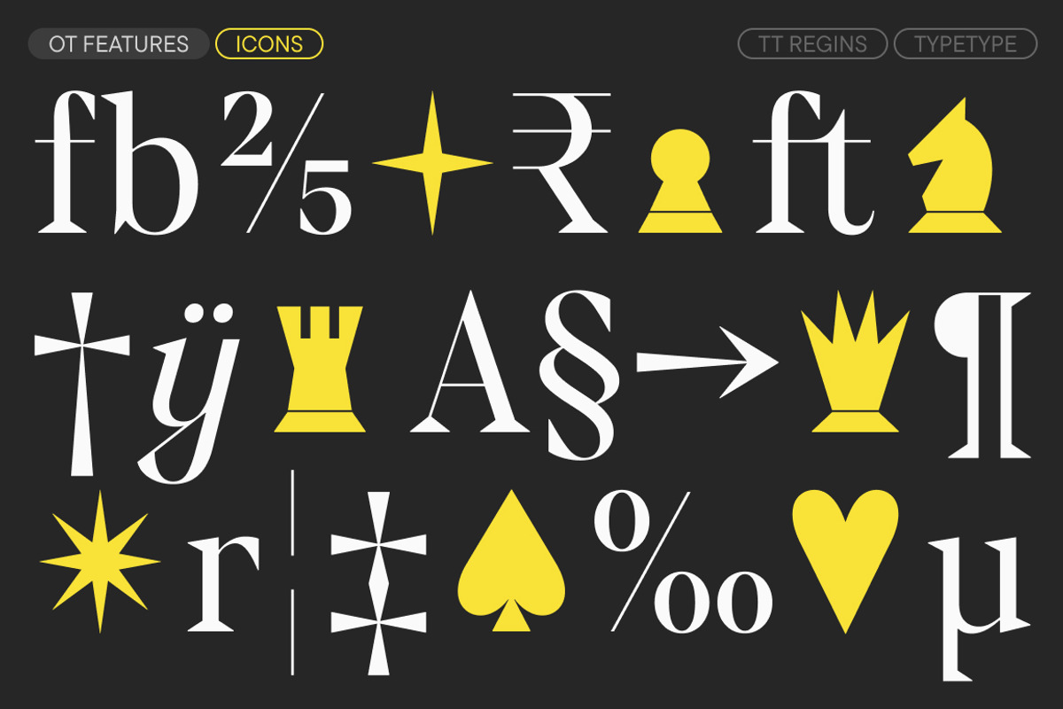 TT Regins, a Serif Font by TypeType (Photo 15 of 15)