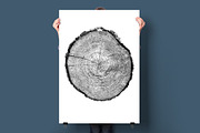 26 Large Tree Ring Textures, a Texture Graphic by Offset (Thumbnail 16 of 16)