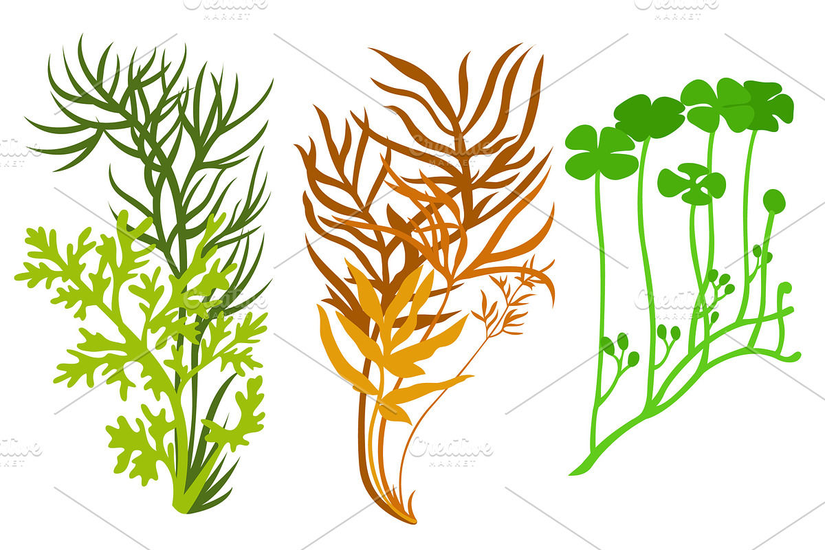 Botanical Line Art Bundle, an Illustration by Graphic Cook (Photo 2 of 8)