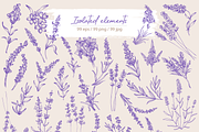 Lavender sketch illustration, a Decorative Illustration by Samira (Thumbnail 3 of 10)