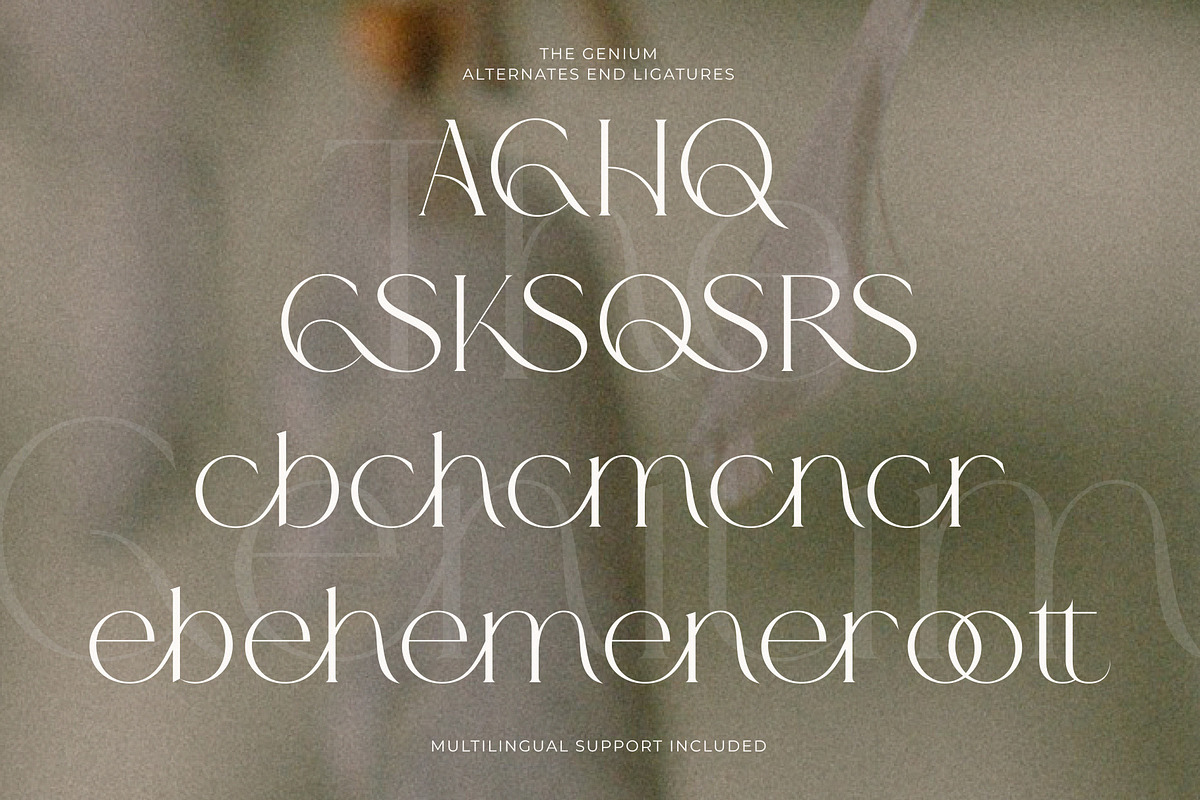 The Genium - Elegant Classic Serif, a Serif Font by GridlineType (Photo 10 of 10)