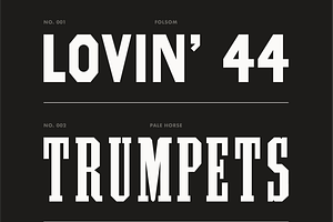 Wood Type Bundle
