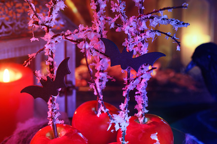 Glazed apples Halloween, a Food & Drink Photo by Apolonia