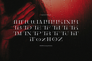 Prostetrix | Serif Typeface, a Serif Font by gracetype_studio (Thumbnail 11 of 12)