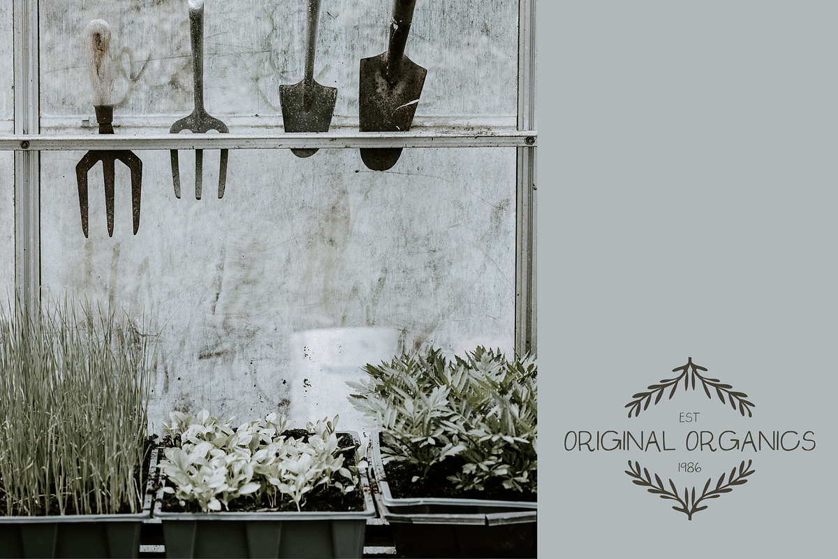 Saturday Market Font + Free Logos preview 5