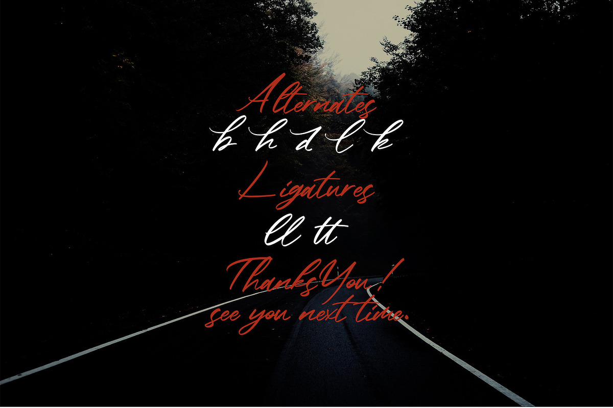 Bahisey - Modern Script Font, a Script Font by StringLabs (Photo 12 of 12)