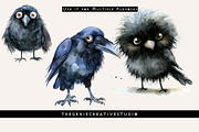 Fluffy Crow PNG Clipart Set, an Animal Illustration by Geniecreativestudio (Thumbnail 6 of 9)