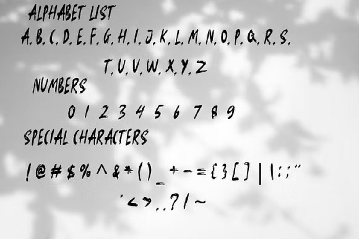 Bread Pitt: Modern Brush Font, a Script Font by GearShift (Photo 6 of 6)