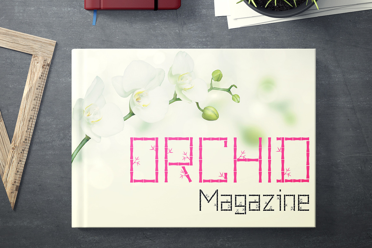 Pring preview 3
