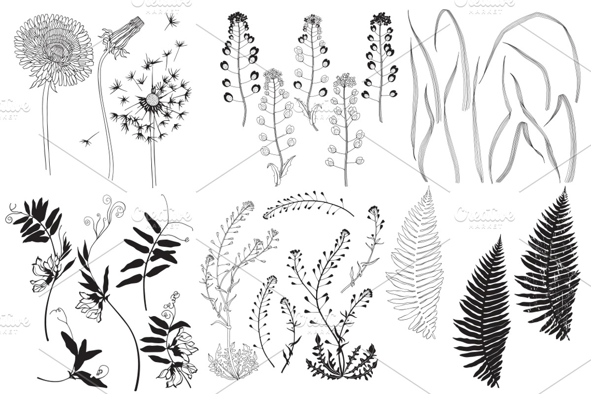 Wildherbs and flowers., an Object Graphic by maritime_m (Photo 6 of 8)
