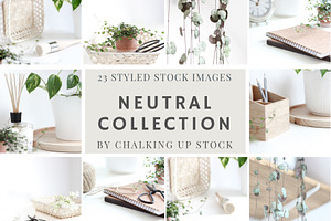 Neutral Collection | Styled Stock
