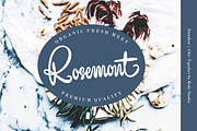 Standout – Chic Typeface, a Script Font by RedyStudio (Thumbnail 8 of 13)