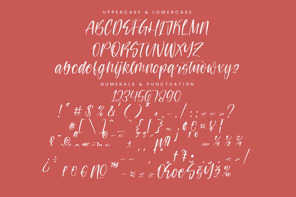 Teracota Strokes, a Script Font by Integritype Studio (Photo 13 of 15)
