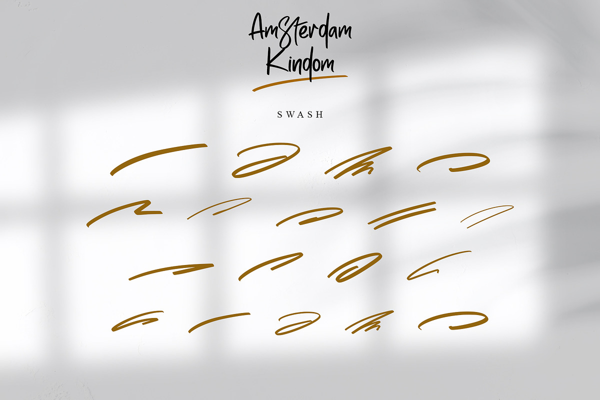 Amsterdam Kingdom, a Script Font by Letterara (Photo 7 of 8)