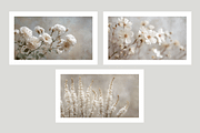 Hihe Co. White Floral Art, a Texture Illustration by milatovar (Thumbnail 5 of 20)