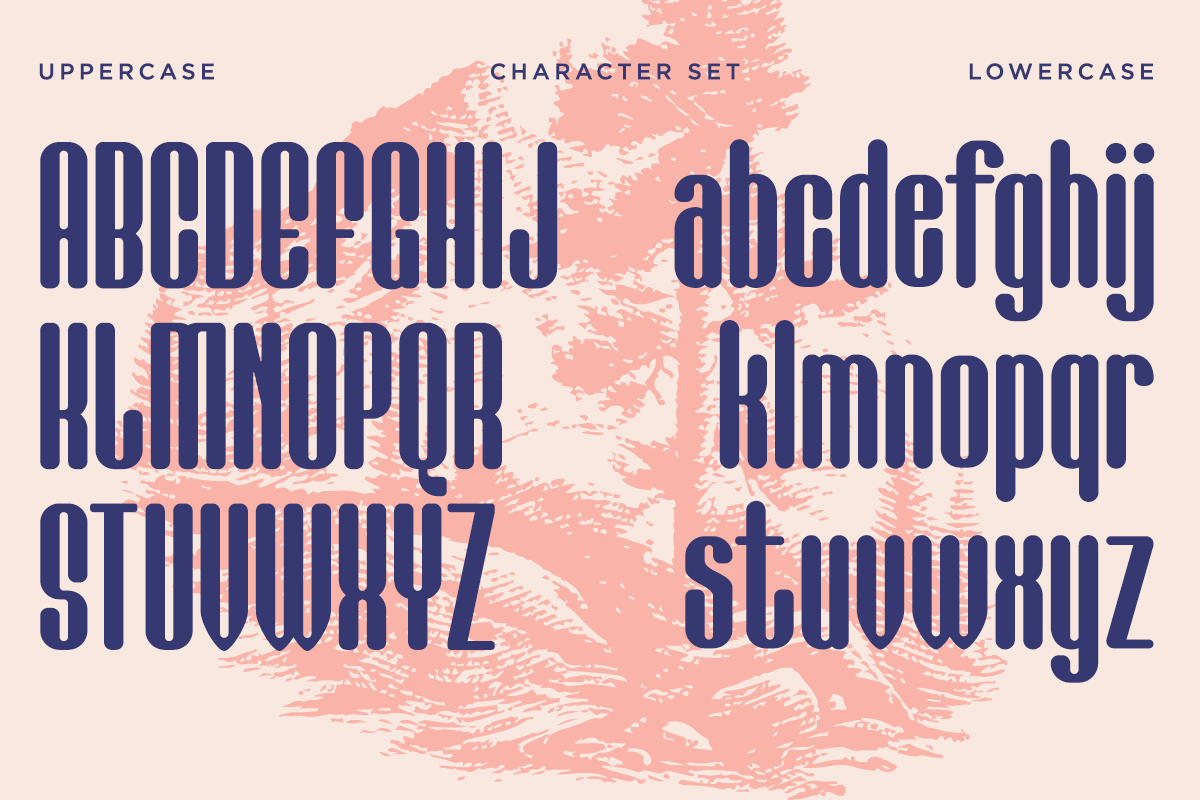 Kathalog - Condensed Sans Font, a Sans Serif Font by Say Studio (Photo 11 of 13)