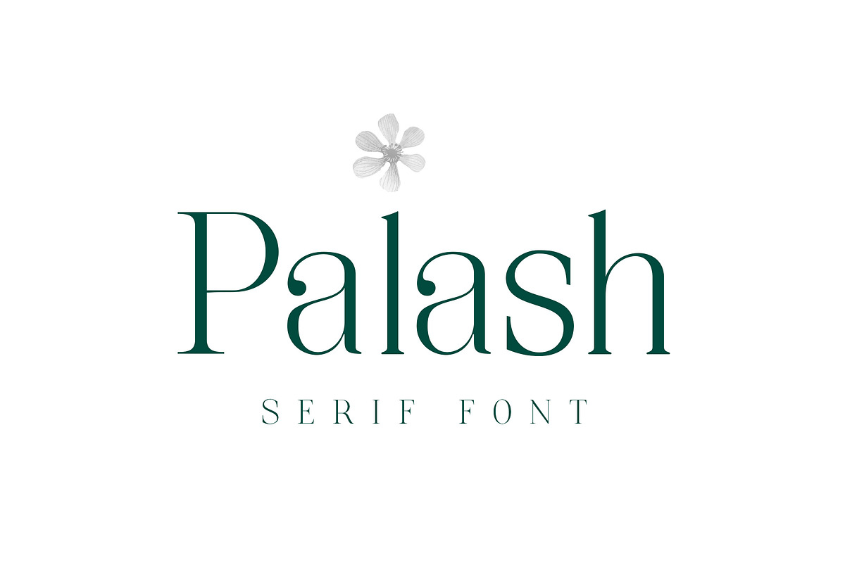 Palash - Feminine Serif Font, a Serif Font by CorgiAstronaut (Photo 13 of 13)