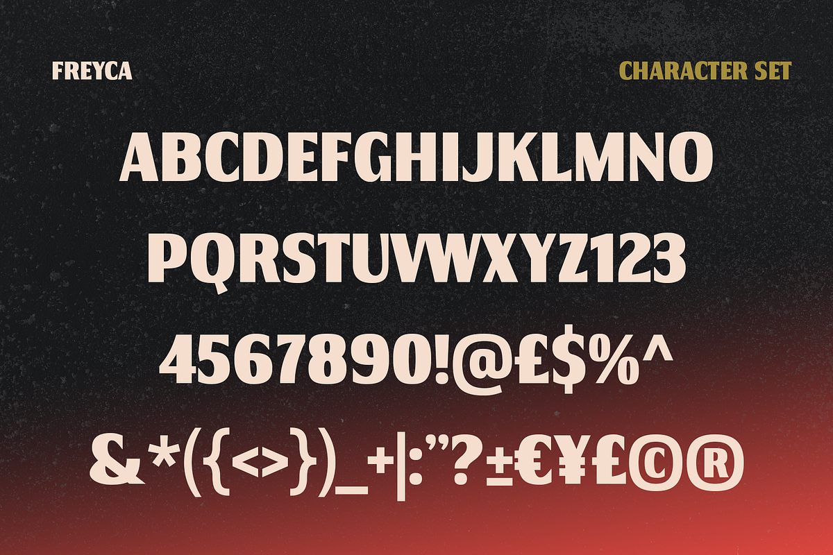 Freyca – Modern Humanist Font, a Sans Serif Font by Drizy (Photo 3 of 9)