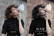 Black Winged Bird Photoshop Action, an Action Add-On by FilterAtelier (Thumbnail 6 of 7)