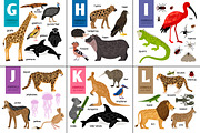 Alphabet with Animals, an Object Graphic by ianakauri (Thumbnail 2 of 4)