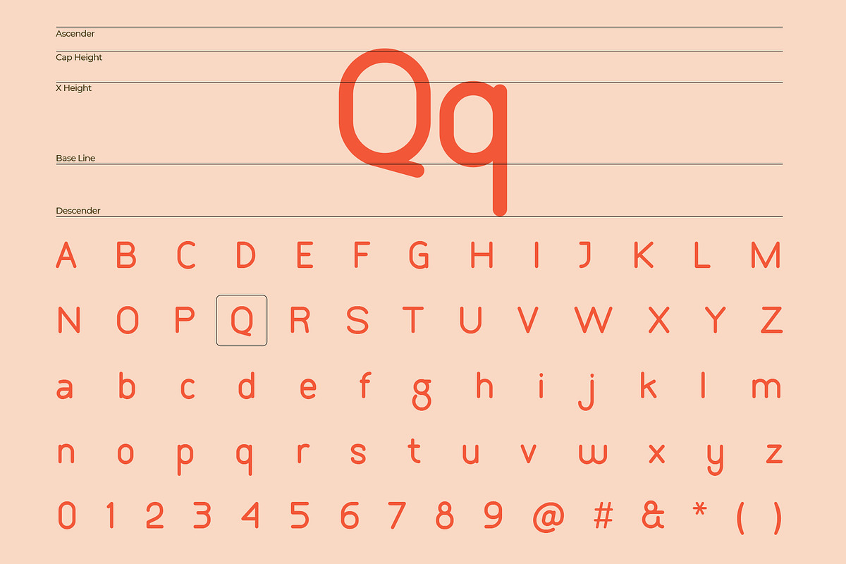 Bookochi Rounded Display Sans Serif, a Sans Serif Font by Designsation (Photo 8 of 10)