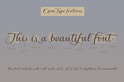 Floriste, a Script Font by Eurotypo (Thumbnail 8 of 8)