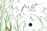 Spring Flowers Bundle, an Illustration by Olga Koelsch (Thumbnail 5 of 13)