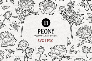 Peony Spring Flower Vector Line Art