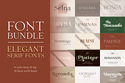 Elegant Serif Bundle, a Serif Font by Larin Type Co. (Thumbnail 1 of 18)