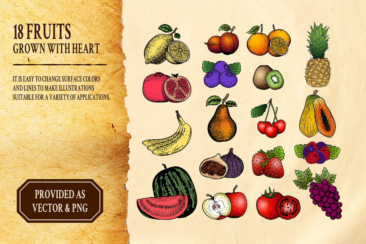 Hand-drawn Fruit and Vegetable Set, an Object Illustration by Riswan Ratta (Photo 3 of 8)