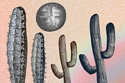 Desert Cowgirl Pen + Ink clipart, an Object Illustration by Eryn Rose Design (Thumbnail 10 of 17)