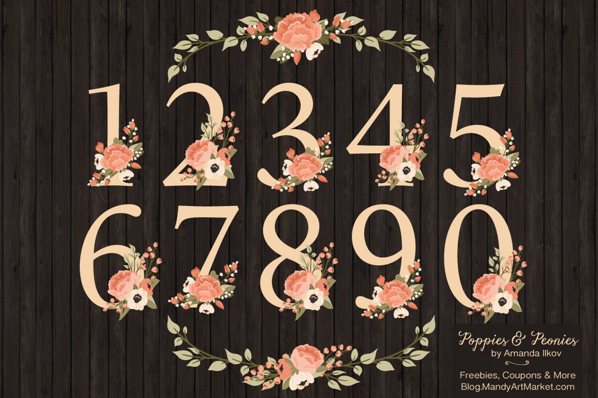 Peach Floral Numbers With Vectors, an Illustration by Amanda Ilkov (Photo 2 of 5)