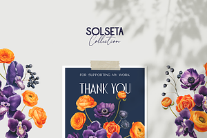 Solseta Floral Illustration Bundle