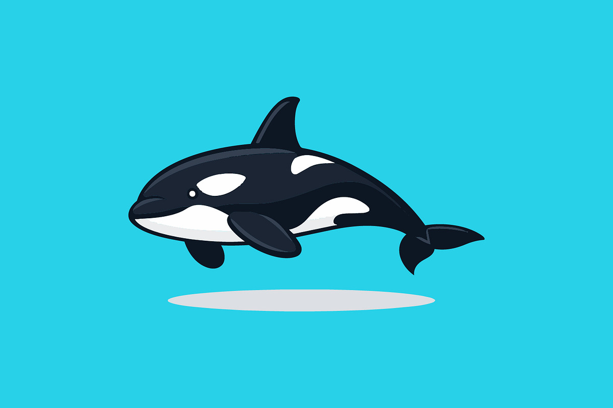 Orca in professional flat vector, an Animal Illustration by Pray Art Design Studio (Photo 3 of 3)