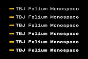 TBJ Felium Monospace Clean Modern, a Sans Serif Font by Taboja Studio (Thumbnail 4 of 15)