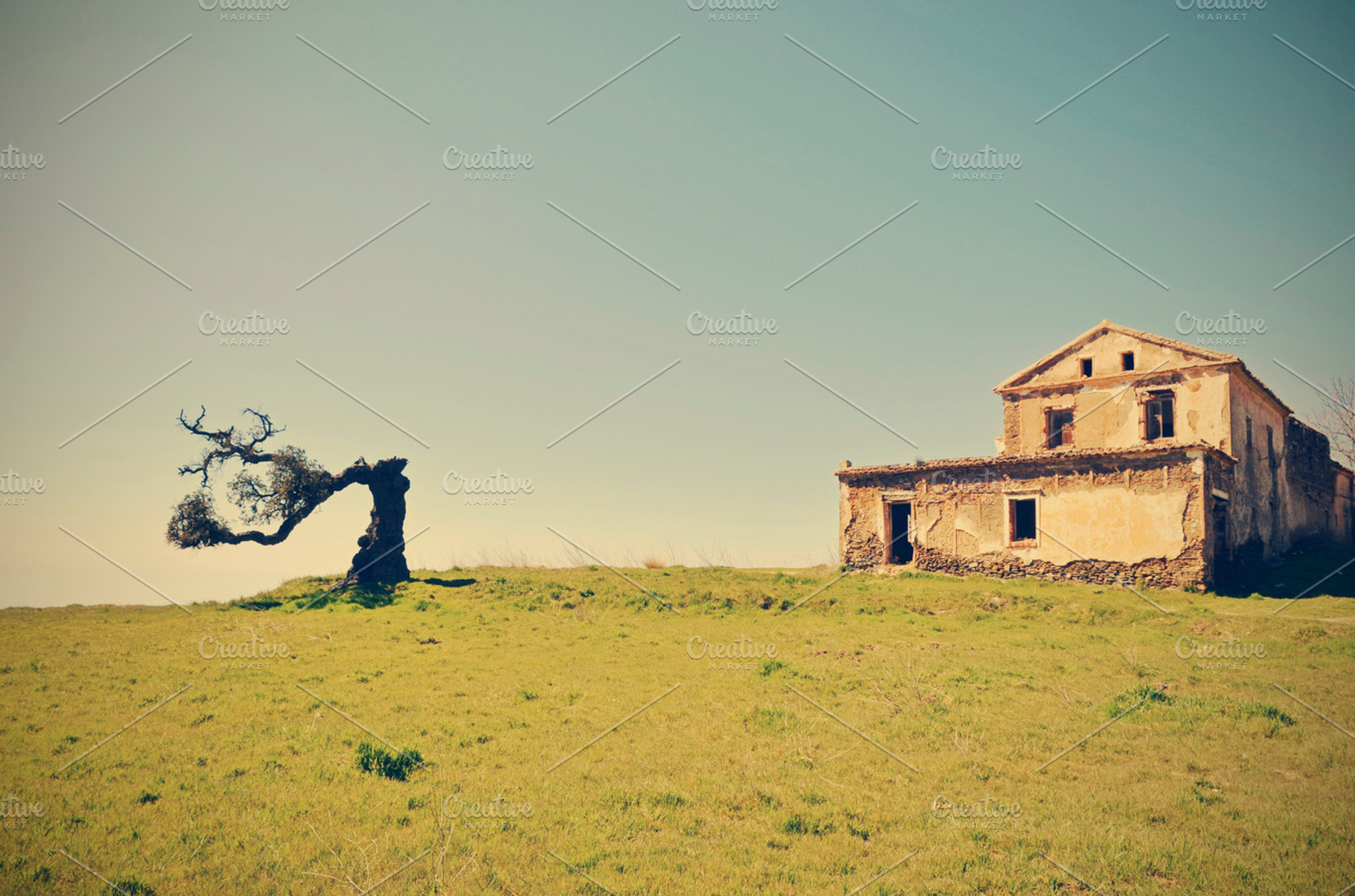 Abandoned house and cork centenary featuring ruins, building, and old, an Architecture Photo by neftali77