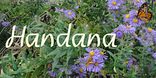 Handana