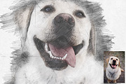Pencil Sketch Photoshop Action preview 6