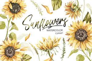 Sunflowers Watercolor Clipart.