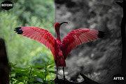 12 Lady In Red Lightroom Presets, a Preset Add-On by Hue Palettte Studio (Thumbnail 5 of 10)
