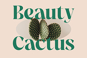 The Bencoy Modern Serif Display, a Serif Font by timelesstype.co (Thumbnail 8 of 20)