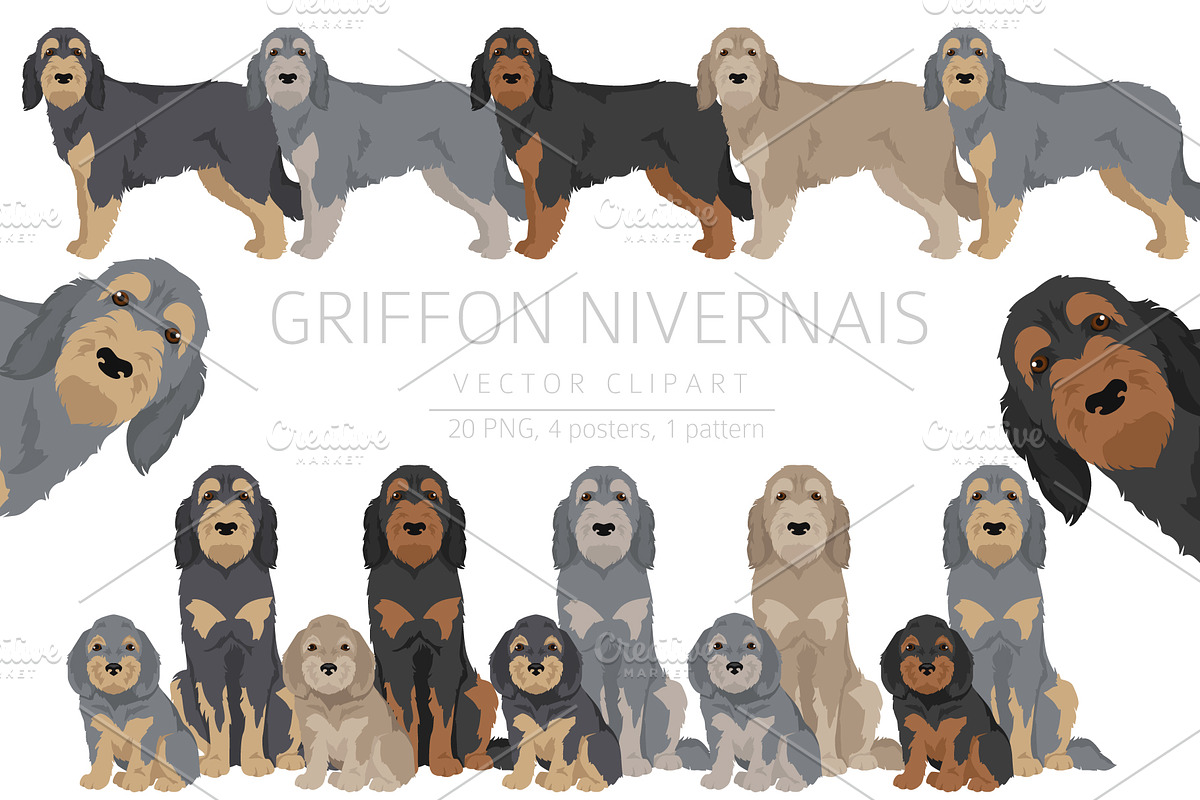 Griffon Nivernais dog clip art, a Background Graphic by pet design shop (Photo 1 of 6)