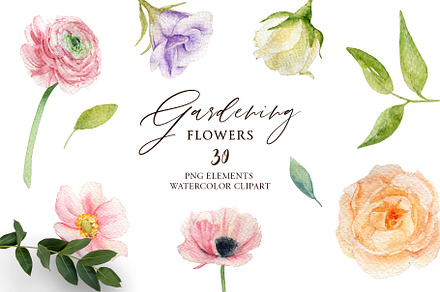 Watercolor Floral Clipart Set