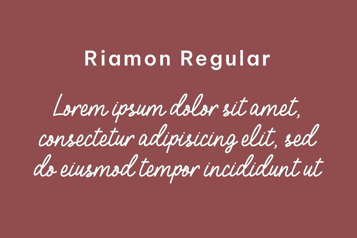 Riamon - lines stylish script font, a Script Font by Fontcastle (Photo 2 of 7)
