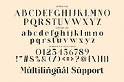 Pallmer Vallerin Elegant Serif Font, a Serif Font by Alfinart (Thumbnail 8 of 9)
