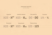 TT Slabs Condensed, a Serif Font by TypeType (Thumbnail 2 of 5)