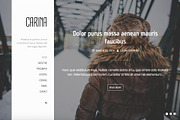Carina - Modern WordPress Blog Theme, a WordPress Template by Webodo Themes (Thumbnail 1 of 5)