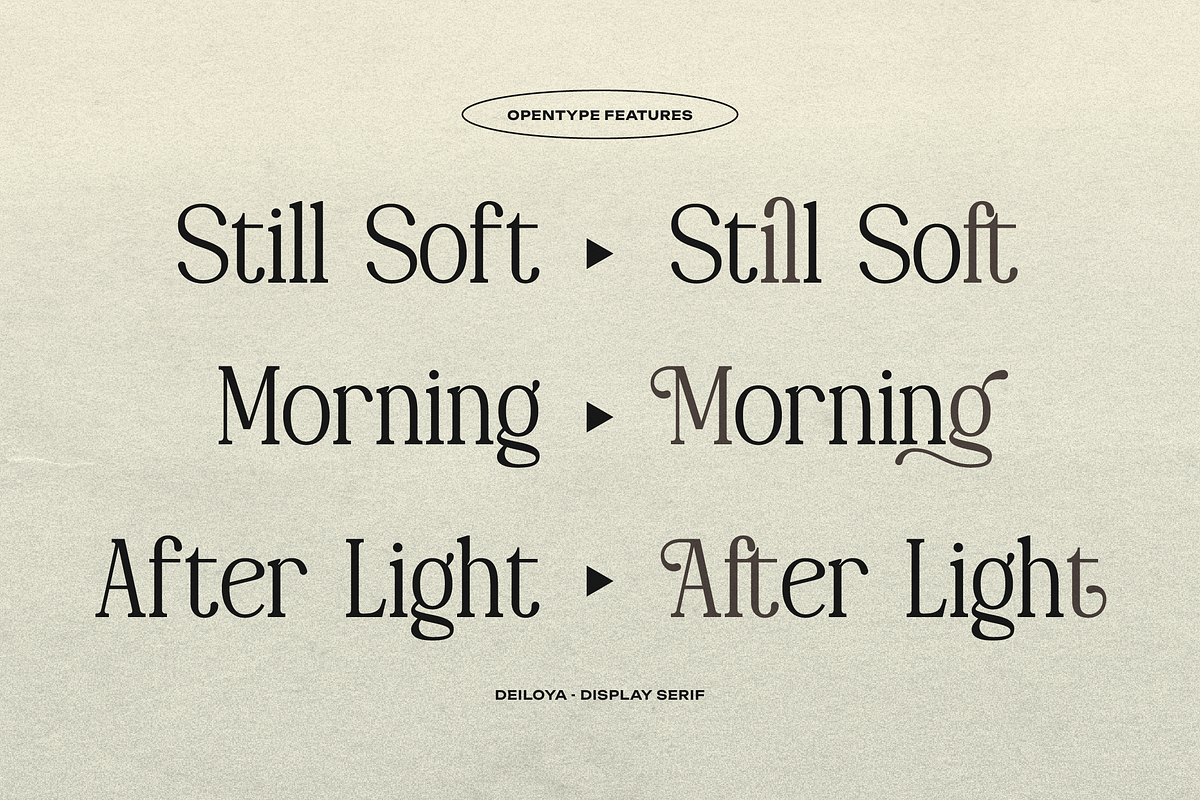 Deiloya | Classic Serif Typeface, a Serif Font by gracetype_studio (Photo 8 of 12)