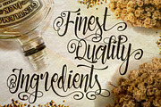 Patronia Script, a Script Font by Twicolabs Fontdation (Thumbnail 2 of 5)